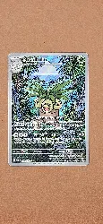 carte pokemon noadkoko 135/132