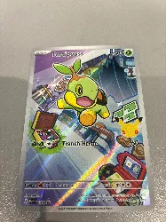 carte pokemon tortipouss 040 promo