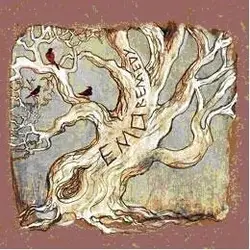 cd emo - remedy (2006)