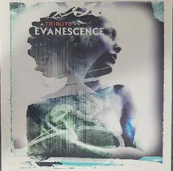 cd static heaven - a tribute to evanescence (2003)