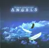 cd within temptation - angels (2005)