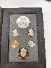 coffret dollar usa 1984