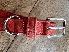 collier pour chien dolce gabbana fefé en cuir rouge-orangé