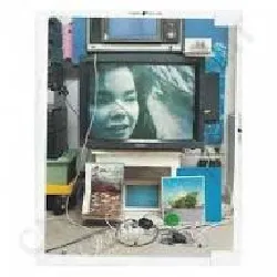 dvd björk - vessel