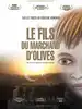 dvd le fils du marchand d'olives