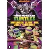 dvd tmnt - enter shredder 2 - bilingue