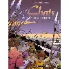livre chats ! tome 4 - le village immortel