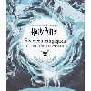livre harry potter - seances magiques 2 - le sortilege de patronus