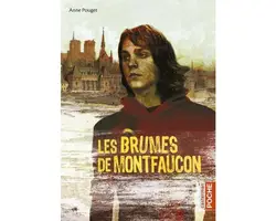 livre les brumes de montfaucon