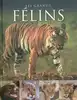 livre les grands félins