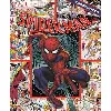 livre spider-man - cherche et trouve premiere edition
