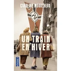 livre un train en hiver