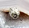 pandora charm argent clip carte du monde argent 925 millième (22 ct) 2,82g