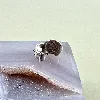 pandora charm argent clip carte du monde argent 925 millième (22 ct) 3,51g