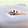 pandora charm argent théière argent 925 millième (22 ct) 2,71g
