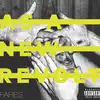 vinyle as a new revolt - fares (2021)