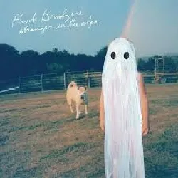 vinyle phoebe bridgers - stranger in the alps [vinyl