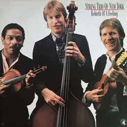vinyle string trio of new york - rebirth of a feeling (1981)