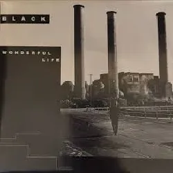 vinyle wonderful life