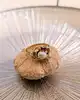 bague cocktail motifs végétaux ornée d'une perle de culture et 3 rubis syntéthiques or 750 millième (18 ct) 3,59g