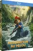 blu-ray paddington au pérou