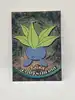 carte pokemon mystherbe topps