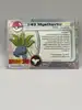 carte pokemon mystherbe topps