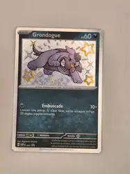 carte pokémon promo grondogue svp071 - ev04.5 destinées de paldea fr