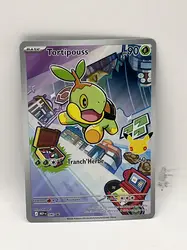 carte pokemon tortipouss mep 040 promo