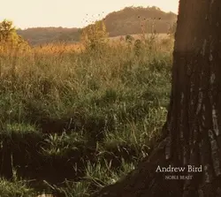 cd andrew bird - noble beast (2009)