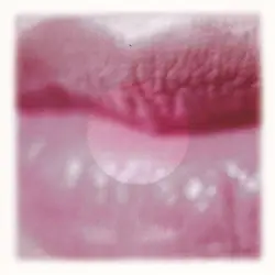 cd bliss (1998)