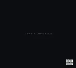 cd bring me the horizon - that's the spirit (2013)
