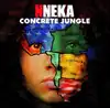 cd nneka - concrete jungle (2010)