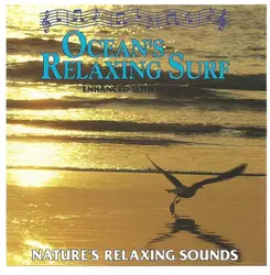 cd unknown artist - ocean's relaxing surf (1987)