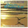cd unknown artist - ocean's relaxing surf (1987)