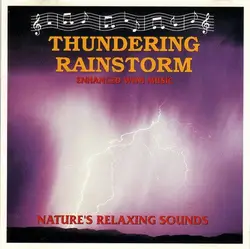 cd unknown artist - thundering rainstorm (1991)