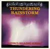 cd unknown artist - thundering rainstorm (1991)