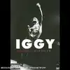 dvd iggy pop - live at the avenue b