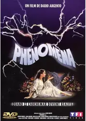 dvd phenomena