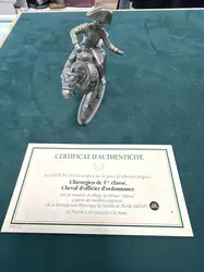 figurines en plomb soldats de la grande armée napoléonienne - chirurgien de première classe, cheval d'officier d'ordonance