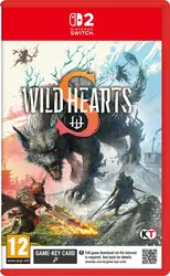 jeu nintendo switch 2 wild hearts s