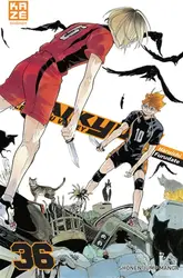 livre haikyu !! les as du volley tome 36