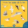 livre j'écoute les sons de la mer