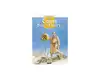 livre les tours de bois - maury tome 8 : le seldjouki