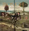 livre les triptyques de jérôme bosch