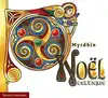 livre noel celtique