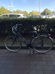 velo giant action city