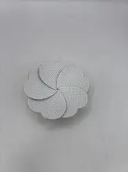 camelia chanel