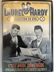 dvd c'est donc ton frère - les plus grands films de laurel et hardy colorisés - vol 1