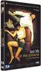 dvd last life in the universe